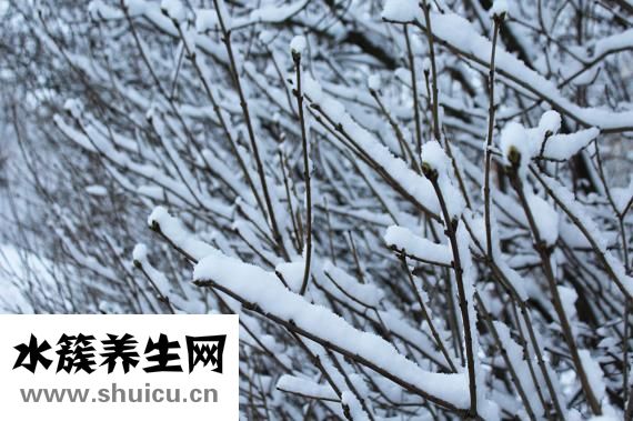 玩雪后手腫怎么辦