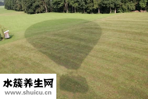 老人濕氣重怎么辦