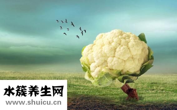 舌強(qiáng)語謇怎么治療