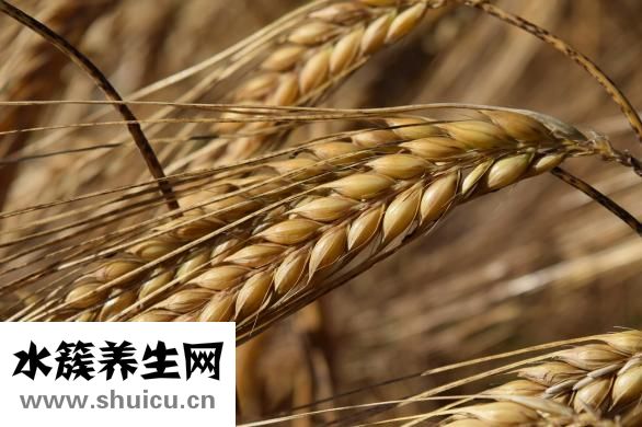 怎么把胃弄壞吃不胖