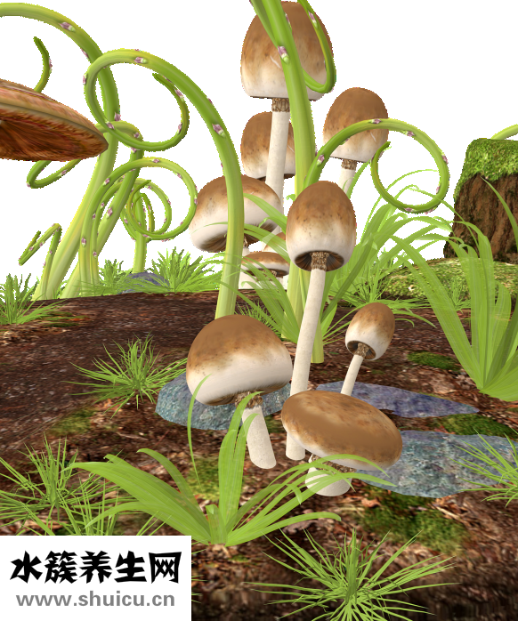 結(jié)直腸炎怎么治療