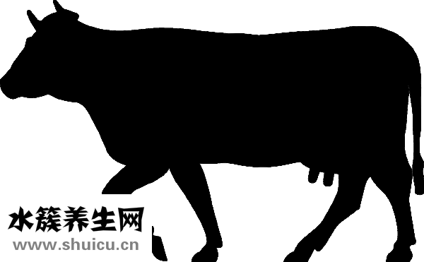 羊肉湯咸了怎么辦