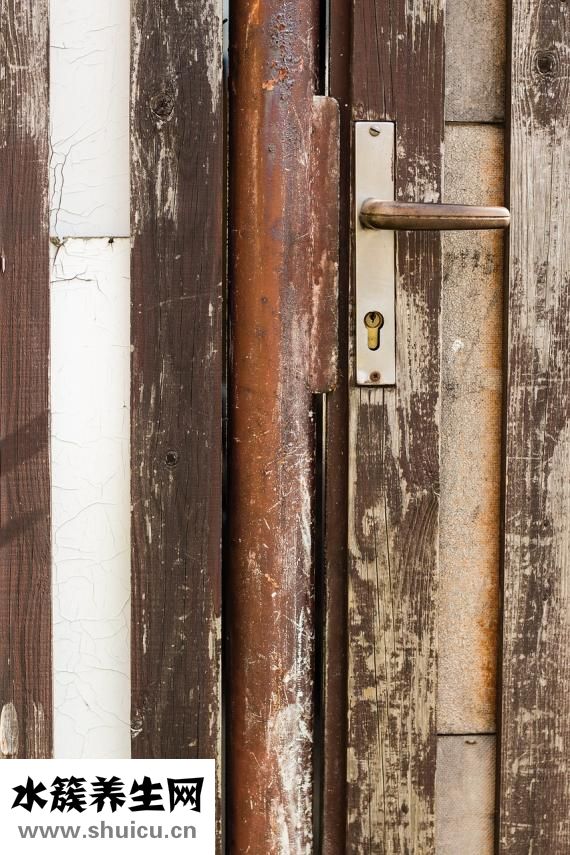 笨狗反腸子怎么辦