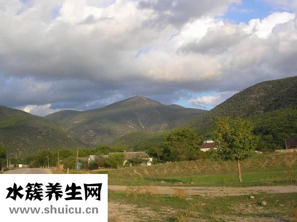 蘿卜豬肉餡怎么調(diào)