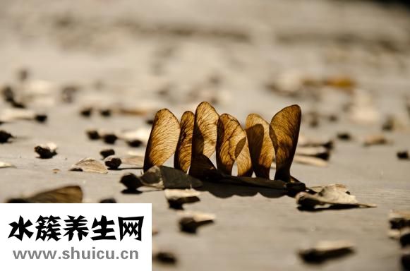 怎么才不容易早產(chǎn)