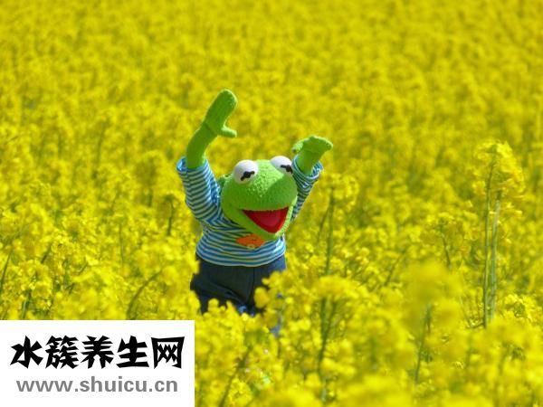 峨山舂雞怎么做