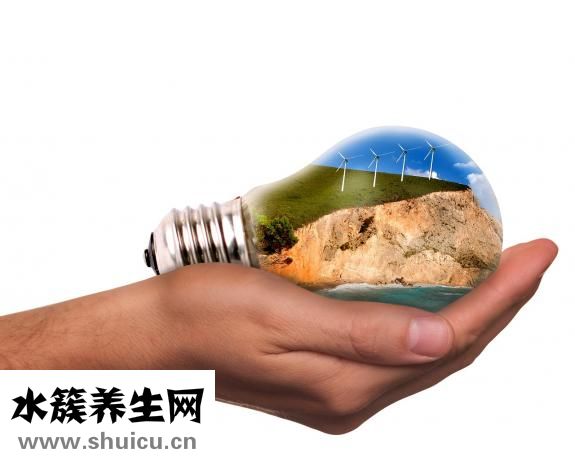 智商太低怎么辦