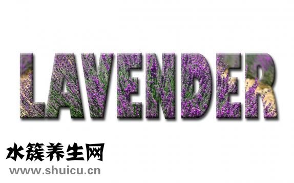 灰指甲怎么去除