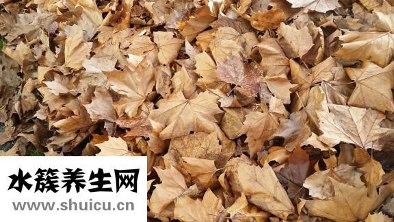 寶寶拉黃稀怎么辦