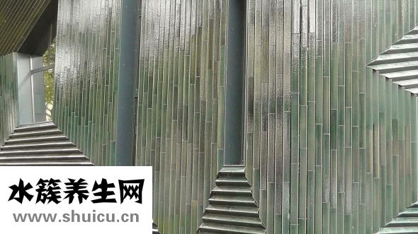 竹子是怎么生長的