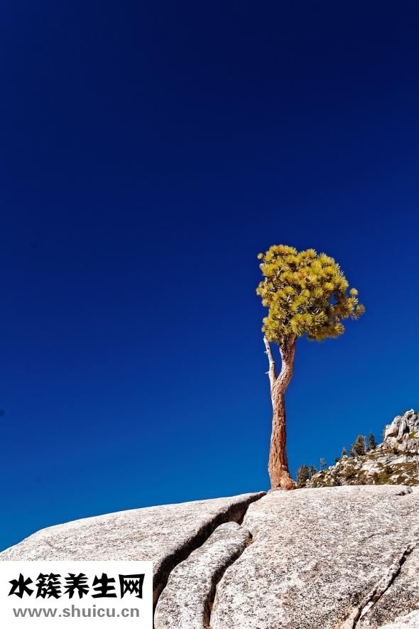 貼吧怎么粉別人