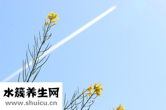 眼睛怎么畫的好