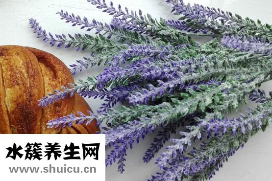 怎么蒸包子松軟