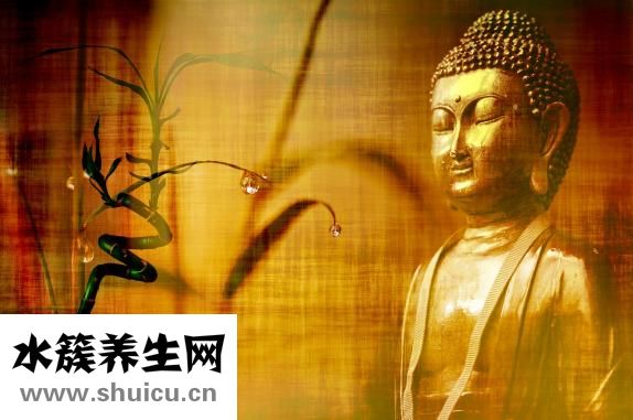 素描菠蘿怎么畫