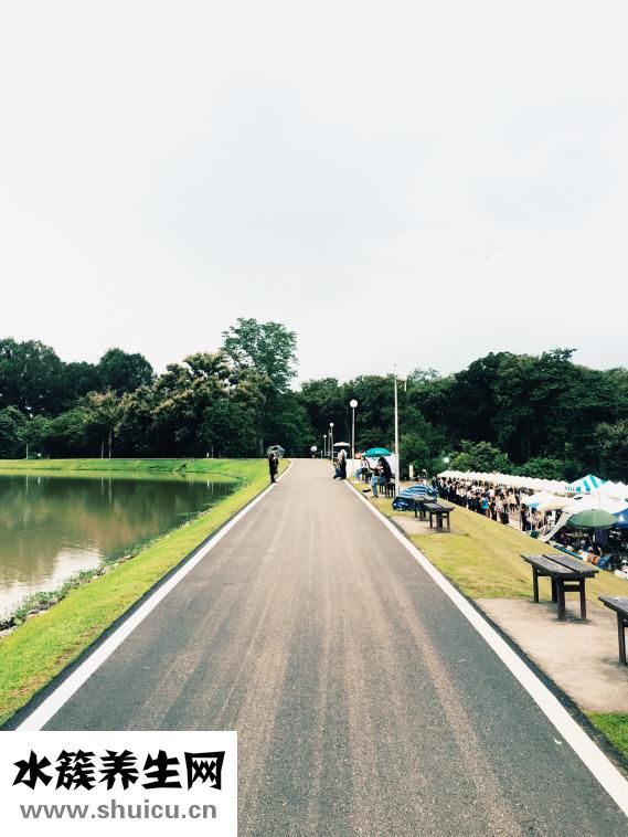 轉(zhuǎn)運(yùn)竹變黃怎么回事