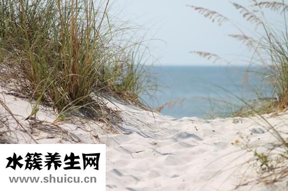 朋友圈的全文怎么發