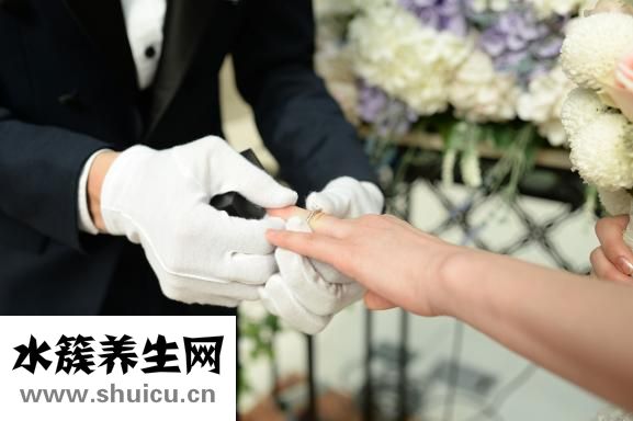 星盤重置盤怎么做