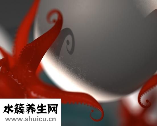 酸辣蒜蓉醬怎么做