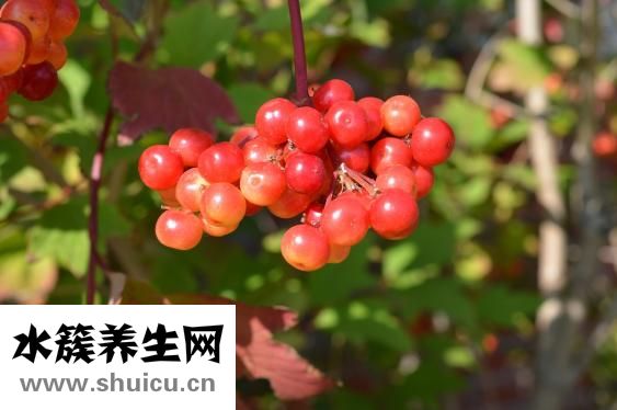 眼角膜發(fā)炎怎么治