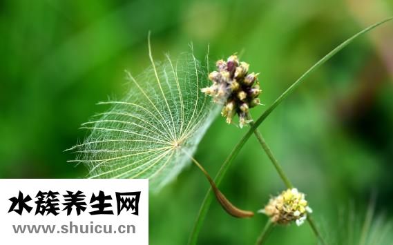 帶籽的凍蝦怎么吃