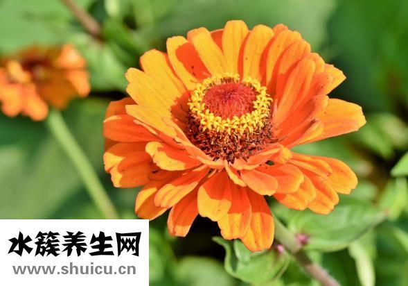 女生太內向怎么辦