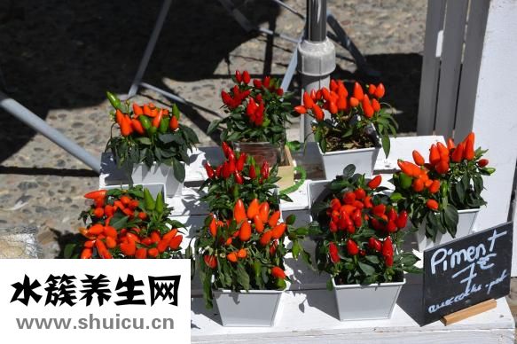 辣椒后燒手怎么辦