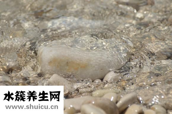 貼吧怎么粉別人