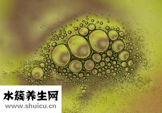 怎么保存液態鴨血