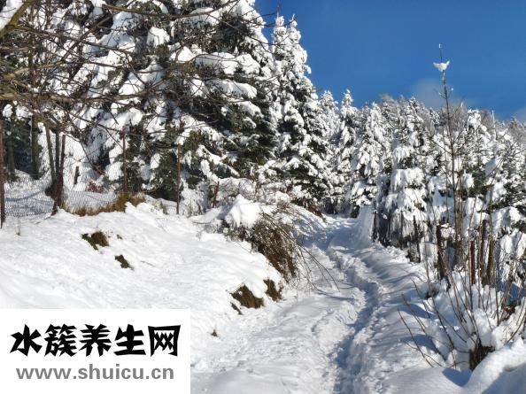 寒氣重的癥狀怎么辦