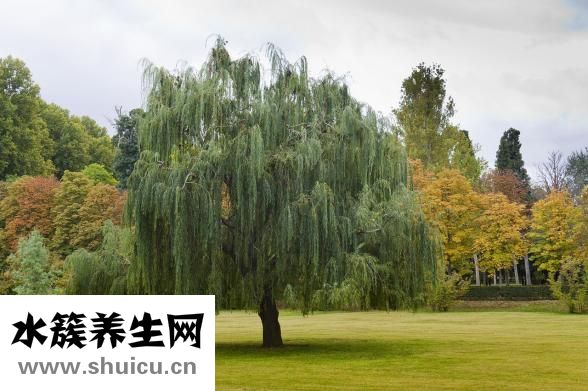 跑步長發(fā)怎么扎