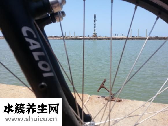 紅薯葉和莖怎么吃