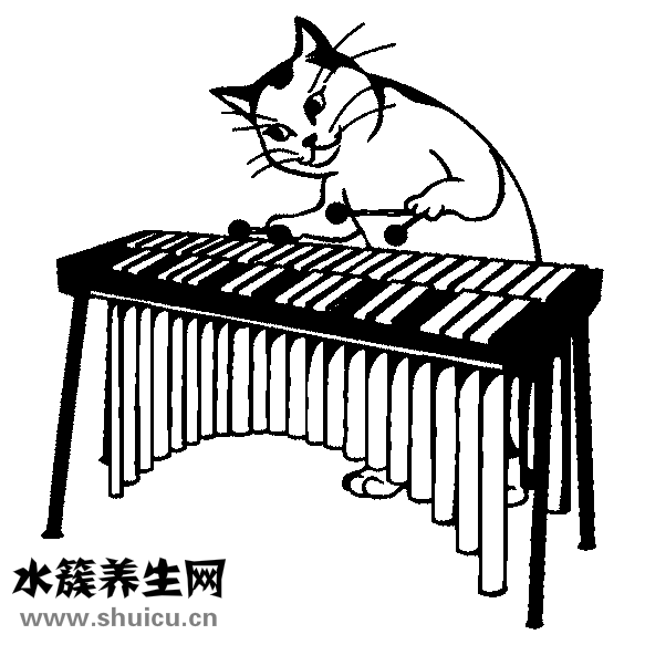 蛇是怎么發(fā)聲的