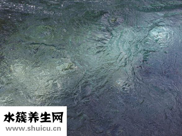 貼吧怎么粉別人