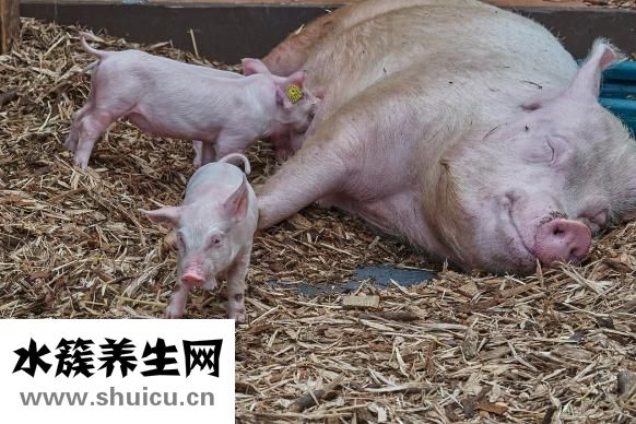 寶寶扭傷筋骨怎么辦