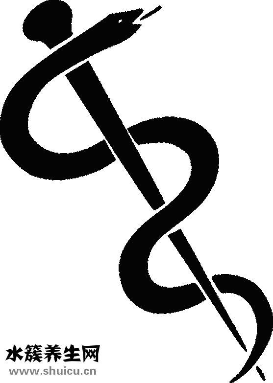 整根鹿茸怎么泡酒