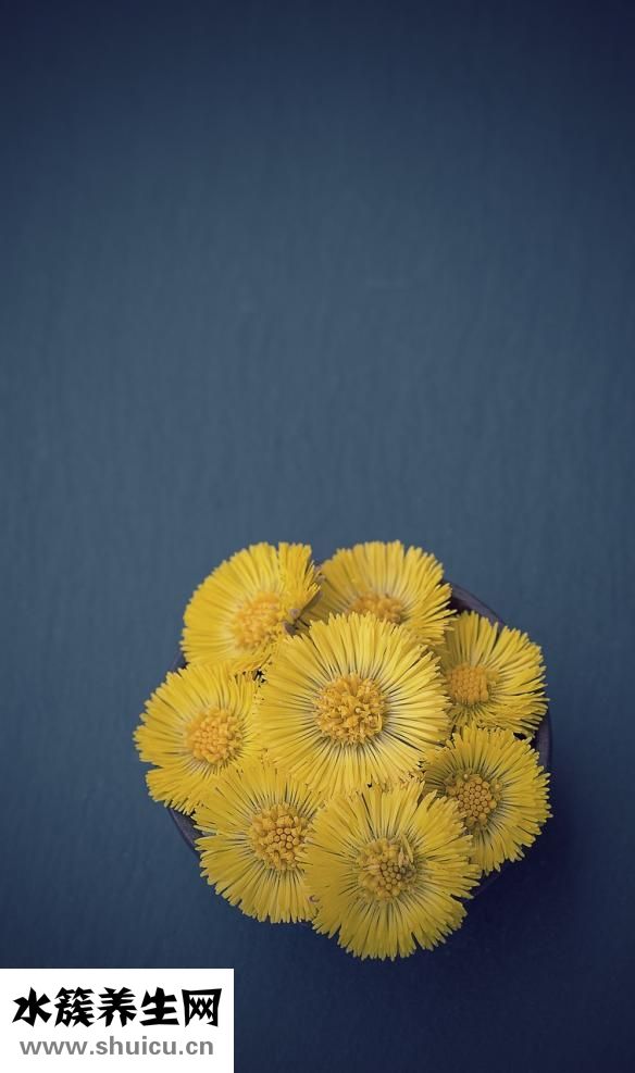 晨尿不黃怎么回事