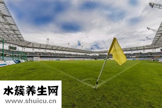 張富源瘦腿怎么做