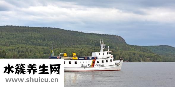 張富源瘦腿怎么做