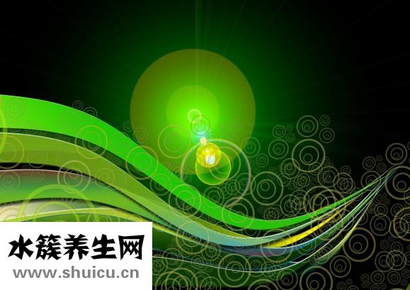 男人太胖怎么減肥