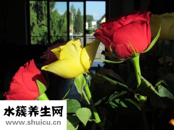 清朝怎么洗頭發