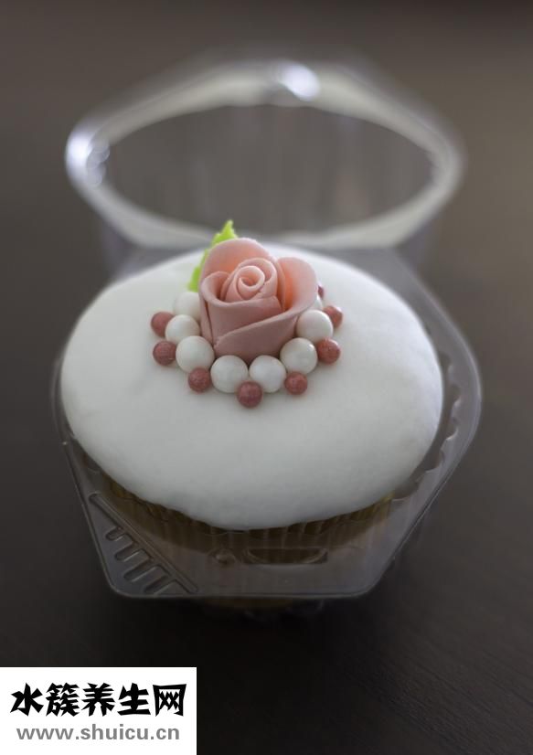 爬地矮珍珠怎么養