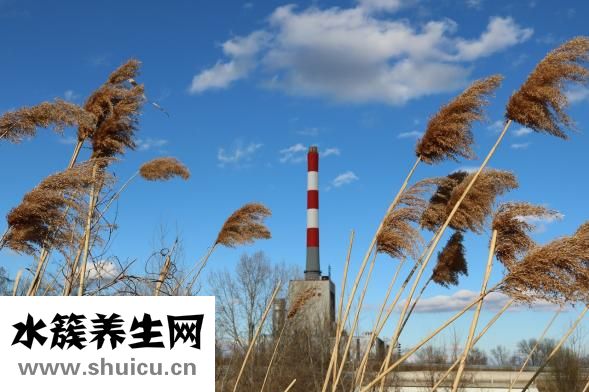 羽絨服褪色了怎么辦