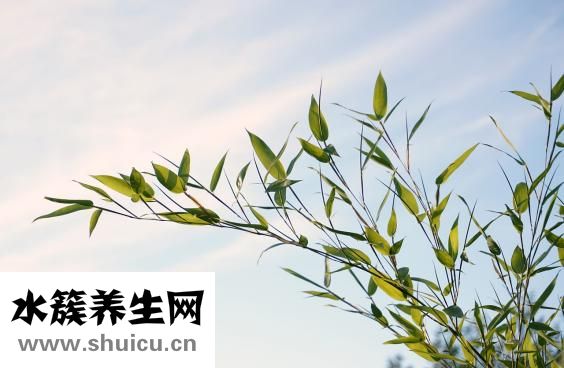 眼睛怎么畫的好