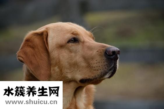 身體瘙癢怎么辦