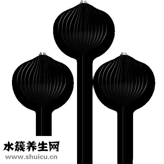 紅薯泥怎么保存