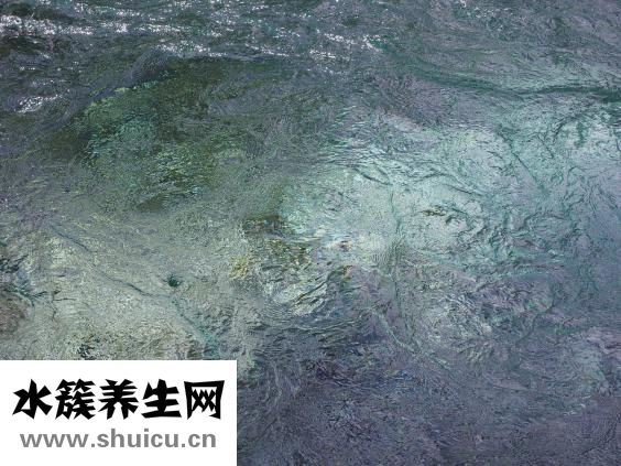 貼吧怎么粉別人