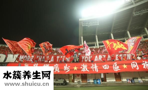 白蘿卜怎么保存