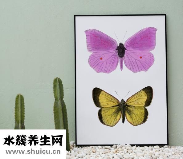 竹子是怎么生長的