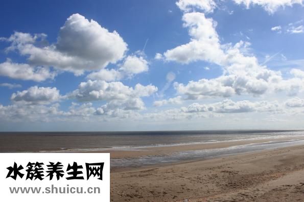 木菜板上臟怎么處理