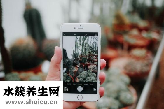 朋友圈的全文怎么發